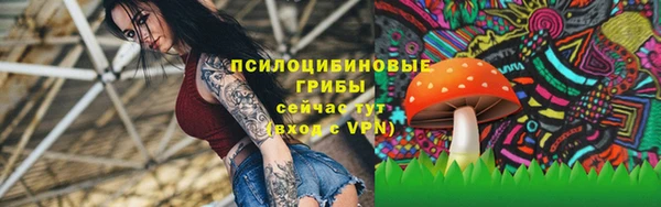 гидропоника Козельск